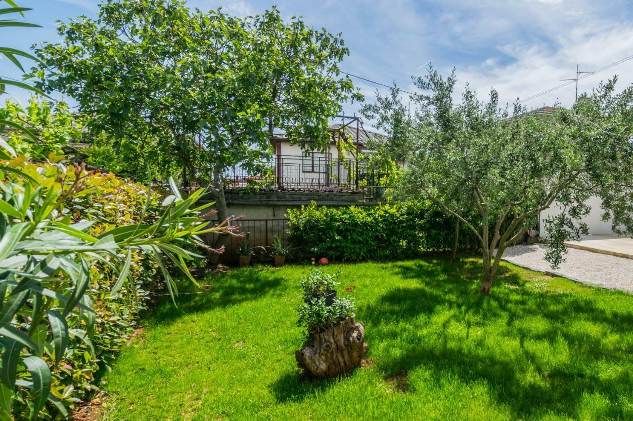 Lavanda Maslina - New Luxury Apartments Pula Dış mekan fotoğraf
