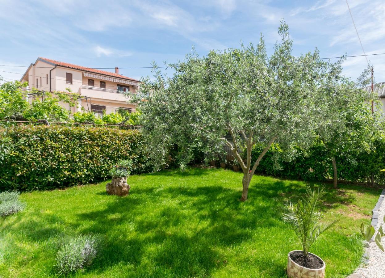 Lavanda Maslina - New Luxury Apartments Pula Dış mekan fotoğraf